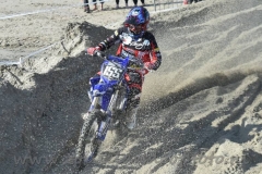 DSC_3659 (950x633)