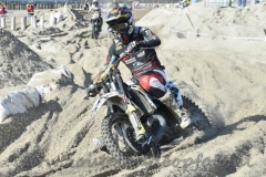 DSC_3687 (950x633)