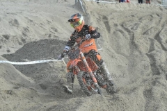 DSC_0198 (950x633)