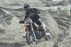 DSC_0215 (950x634)