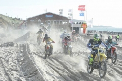 DSC_0350 (950x578)