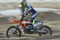 DSC_0443 (950x633)