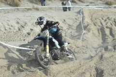 DSC_0463 (950x632)