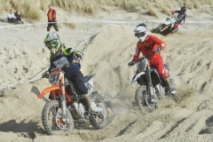 DSC_0706 (950x633)