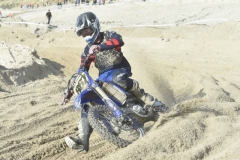 DSC_0768 (950x633)