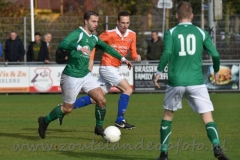 DSC_6034 (950x634)