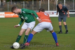 DSC_6065 (950x634)