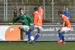 DSC_6141 (950x634)