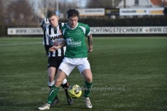 DSC_6876 (950x623)