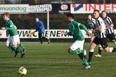 DSC_6958 (950x635)