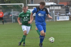 DSC_3442 (950x634)