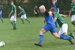 DSC_3507 (950x634)