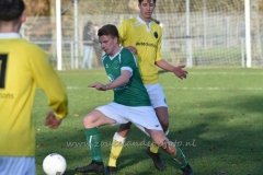 DSC_2693 (950x658)