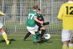 DSC_2696 (950x627)