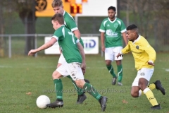 DSC_2879 (950x634)