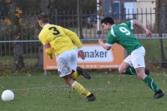 DSC_2915 (950x635)