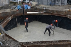 BBF020=210316 (7) (950x634)