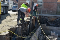 BBF021=010416 (24) (950x633)