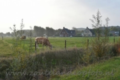 TND656=251016 (18) (950x629)