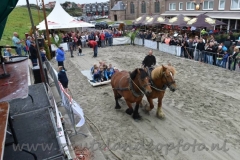 DSC_6334 (950x632)