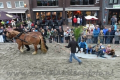 DSC_6340 (950x633)