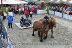 DSC_6343 (950x632)