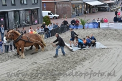 DSC_6346 (950x632)