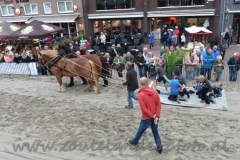DSC_6350 (950x632)