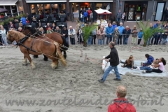 DSC_6360 (950x603)
