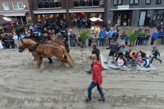 DSC_6372 (950x618)