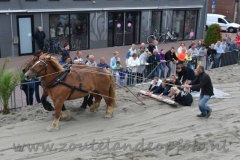 DSC_6394 (950x633)