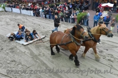DSC_6400 (950x632)