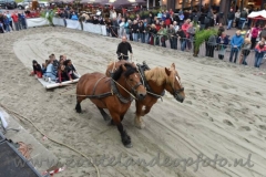 DSC_6406 (950x632)