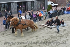 DSC_6408 (950x633)