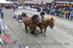 DSC_6424 (950x632)