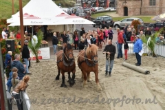 DSC_6428 (950x632)