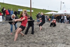 DSC_6464 (950x632)