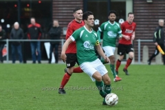 DSC_7999 (950x633)