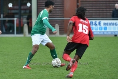 DSC_8001 (950x633)