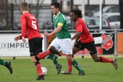 DSC_8128 (950x634)