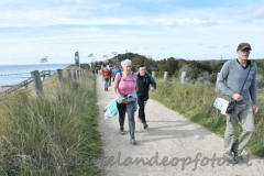 DSC_1945 (950x632)
