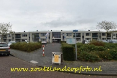 DSC_2203__650x427_