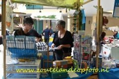DSC_2292__650x428_