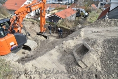 WNV1801=210318 (17) (950x632)