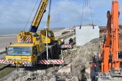 WNV1801=210318 (22) (950x632)