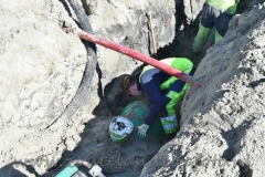 WMW004=260419 (9) (950x632)