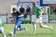 DSC_1194 (950x633)
