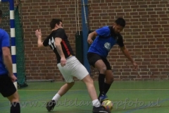 DSC_0856 (950x633)