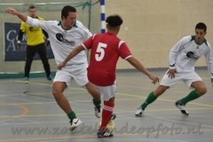 DSC_3929 (950x634)