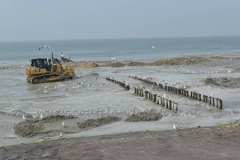Zs16008=270516 (22)